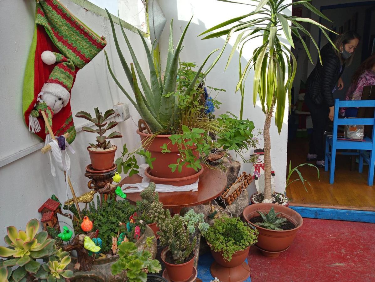 Posada Azul Cusco Luaran gambar